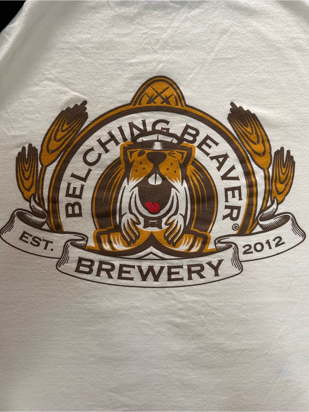 Craft Brewery Raglan Tee Bundle XL Fisher Beer Belching Beaver 3/4 Sleeve - Picture 14 of 14